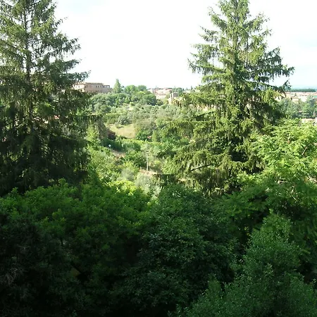 戴梦纳琪拉迪穆拉酒店